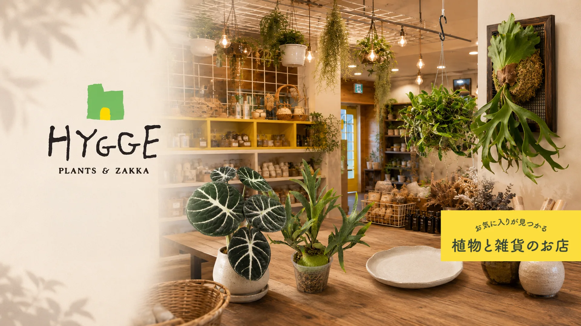 HYGGE PLANTS & ZAKKA｜植物と雑貨のお店