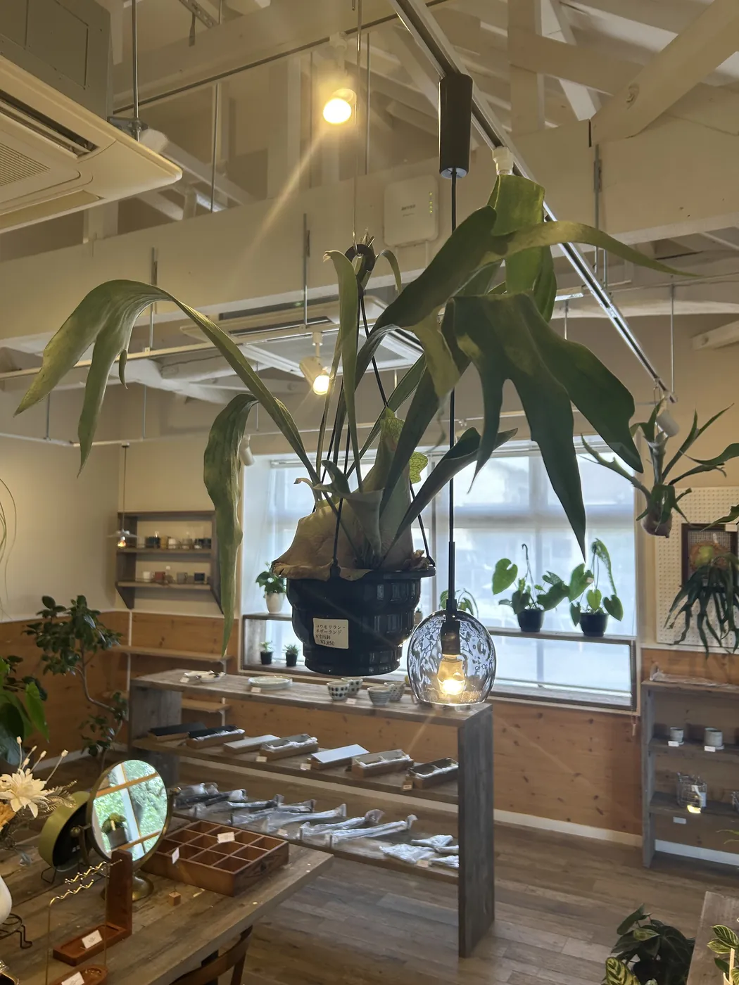 店内の様子