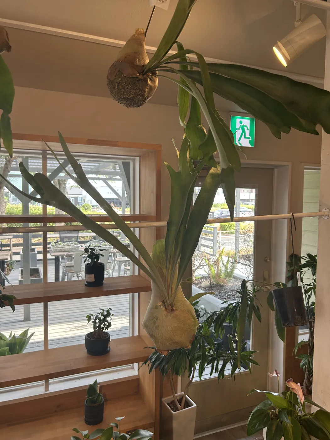 店内の様子