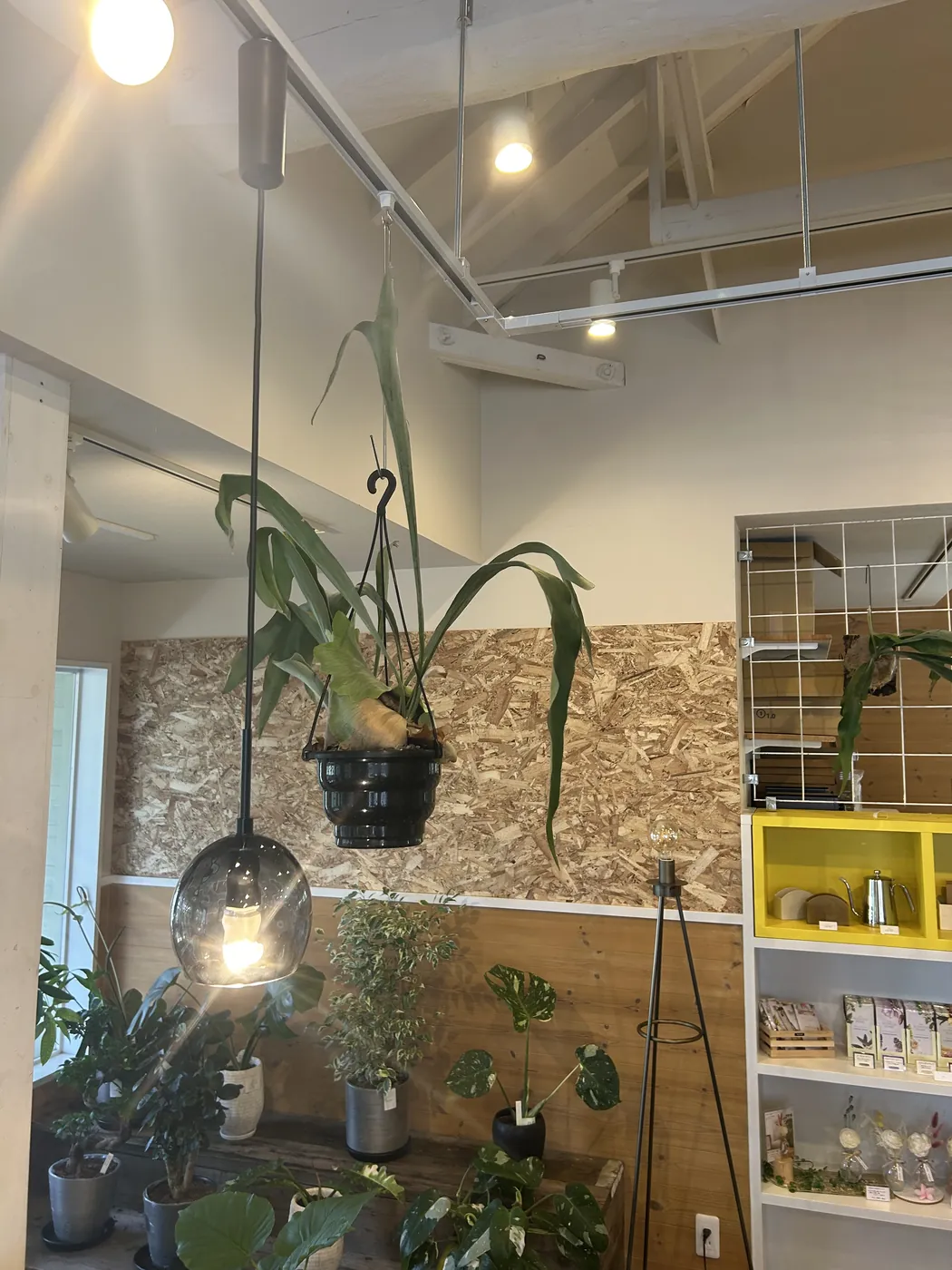 店内の様子